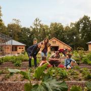 Kies voor een vakantie met de hele familie in <b>Center Parcs het Meerdal</b> in <b>Limburg</b>